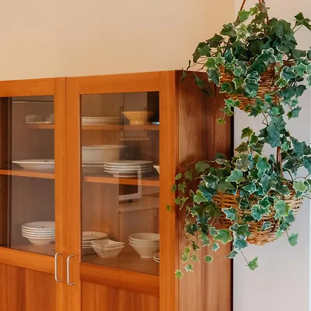 Apartment And Peace